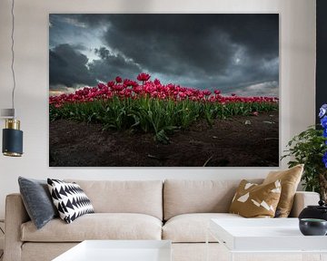 Red/pink tulips by Rianne Kugel