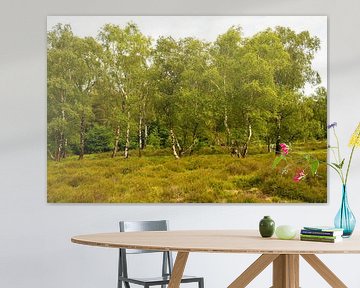 Berkenbomen op de heide. van Alie Ekkelenkamp