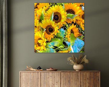 Zonnebloemen