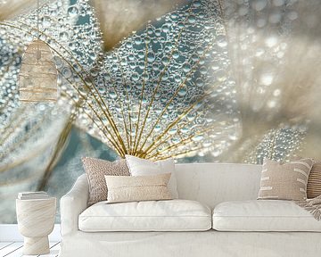 From inside a Tragopogon by Marjolijn van den Berg