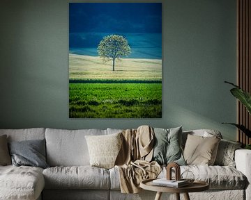 Lonely in the light van John Goossens Photography