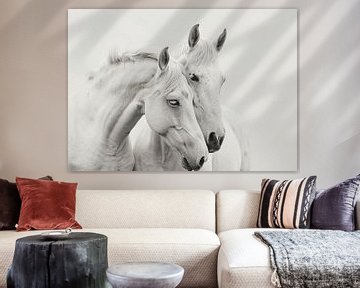 Een Sereen Moment Vereeuwigd - Twee mooie paardenhoofden bijelkaar van Karina Brouwer