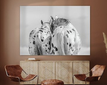 Dotted Love - Two Appaloosa horses lovingly side by side by Karina Brouwer