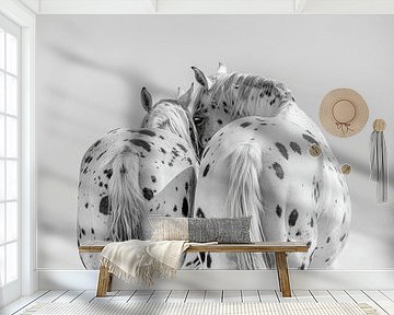 Dotted Love - Zwei Appaloosa-Pferde liebevoll Seite an Seite