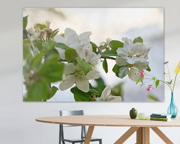Fleurs de pommier d'un blanc tendre sur la branche sur Martin Köbsch