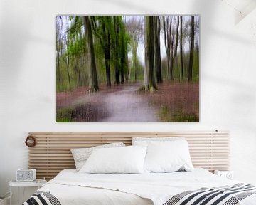 Dreamy forest