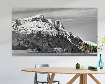 Fjord in Noorwegen, in zwart-wit van Martin Köbsch