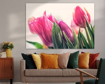Colourful bouquet of tulips by Petra Dreiling-Schewe