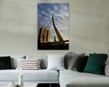 Erasmusbrug Rotterdam van Michel van Kooten