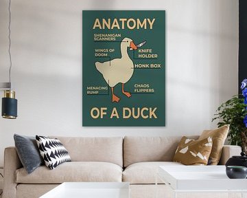 Anatomie van een eend