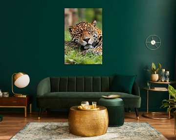 Slapende jaguar op gras schilderij van Art & Soul Creations