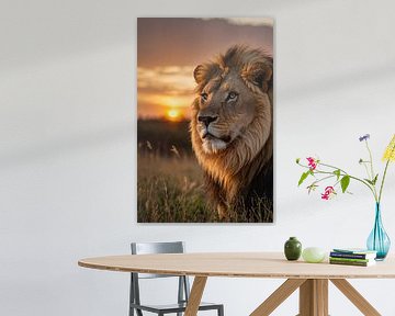 Majestueuze leeuw bij adembenemende zonsondergang