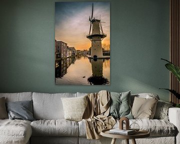 Camel moulin à Schiedam sur Kok and Kok