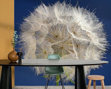 A square with a morning star (Tragopogon) and a blue background by Marjolijn van den Berg