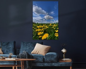 A dandelion field in bloom by Claude Laprise