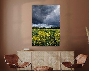 A field under a stormy sky by Claude Laprise