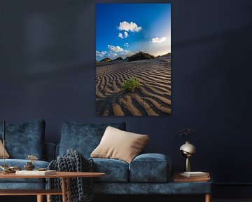 Eénzaam in de duinen van Peter Deschepper