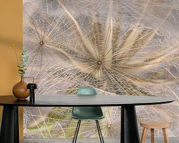 Hidden behind the fluff by Marjolijn van den Berg