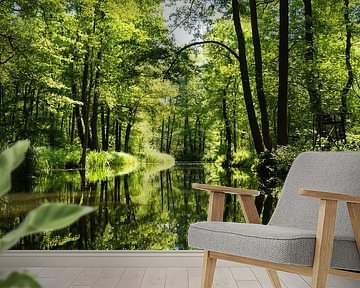 Warmer Sommertag im Spreewald von Aurica Voss