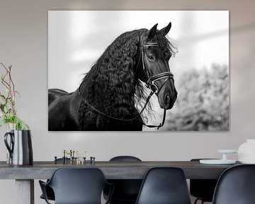 Friesian horse with bridle in black and white by Cynthia Verbruggen