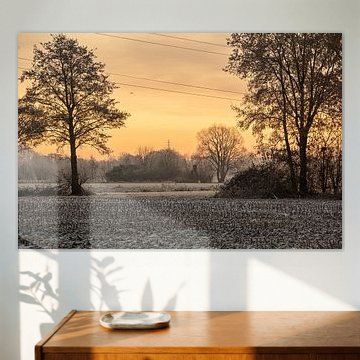 zonsopkomst tussen de weilanden bij ochtenddauw