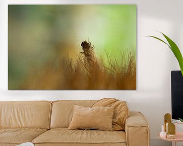 peinture avec le cactus sur Renske van der Leij
