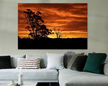Sonnenuntergang, St. Helens, Tasmanien, Australien