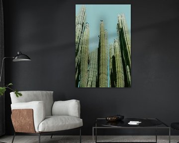 Cactus oasis | Print Gran Canaria Canarische Eilanden | Spanje botanische reisfotografie van HelloHappylife