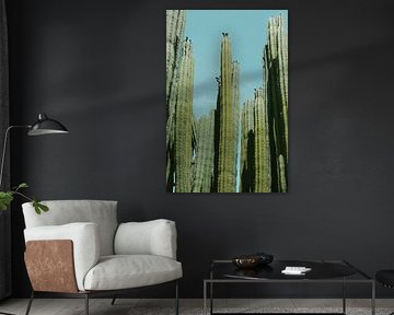 Cactus Gran Canaria van HelloHappylife