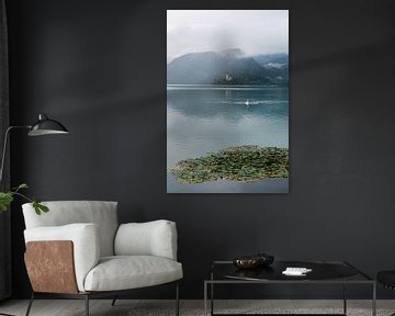 Der Bleder See mit der Kirche Mariä Himmelfahrt von Renske van der Leij