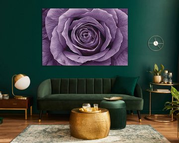 Surrealistische paarse roos met gedetailleerde blaadjes van Art & Soul Creations
