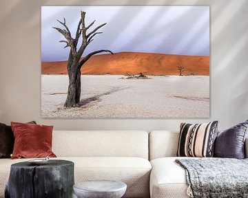 Deadvlei by Dirk Smets
