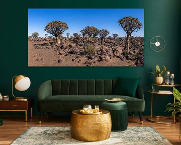 Quiver Tree Forest by Dirk Smets