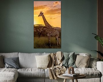 Giraffe enjoying the sunset van Kim Paffen