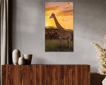 Giraffe enjoying the sunset by Kim Paffen