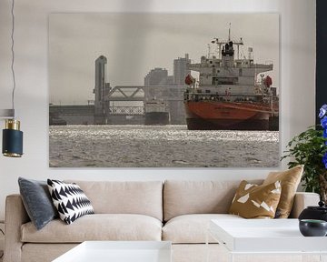 Zeeschepen in de haven Rotterdam van scheepskijkerhavenfotografie