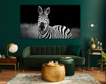 Zebra in Kruger Park Zuid-Afrika, zwart wit