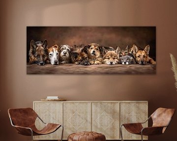 group photo pets by Egon Zitter