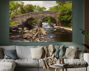 Old Weir Bridge Killarney national park (Ierland) van Marcel Kerdijk