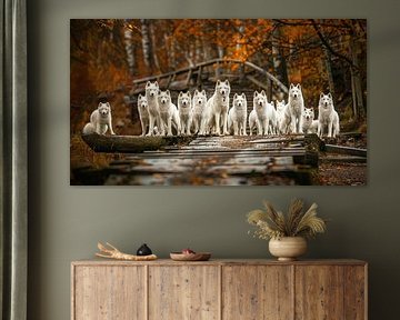 Gruppenfoto Hunde im Wald