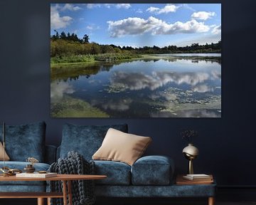 Reflection on the park's pond by Claude Laprise