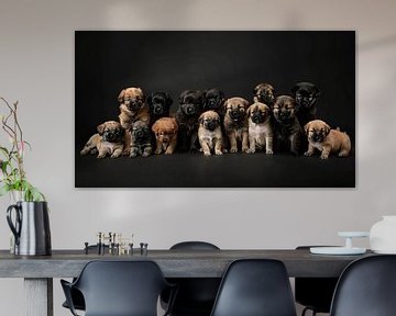 groepsfoto honden van Egon Zitter