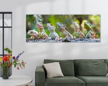 Lézards en rang photo de groupe lézard reptile sur Egon Zitter