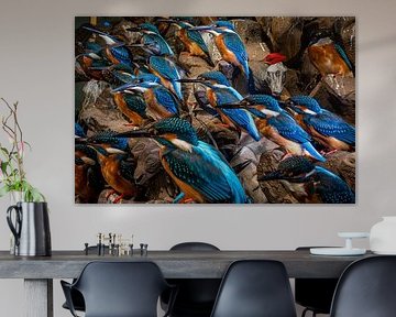 ijsvogels op een rij