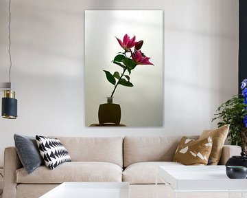 Roze lelie in vaas