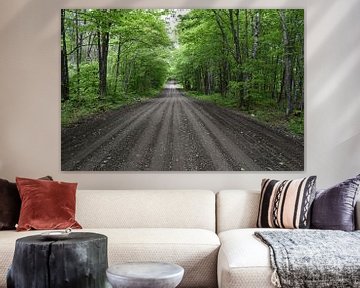 A deserted road in summer by Claude Laprise