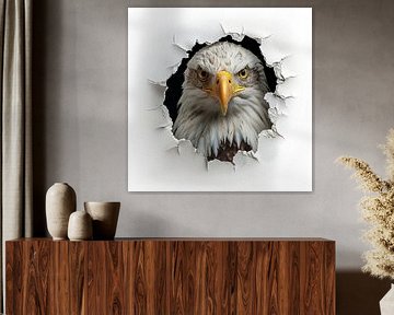 Eagle from the wall by TheXclusive Art