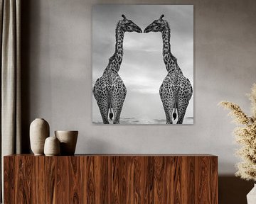 Giraffes black and white by Marjolein van Middelkoop