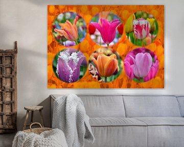 Hollandse tulpen (Oranje Boven!) van Hans Levendig (lev&dig fotografie)