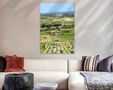 Vue des vignobles de Rioja Alavesa avec les montagnes au loin - Espagne par une journée ensoleillée sur Studio LE-gals